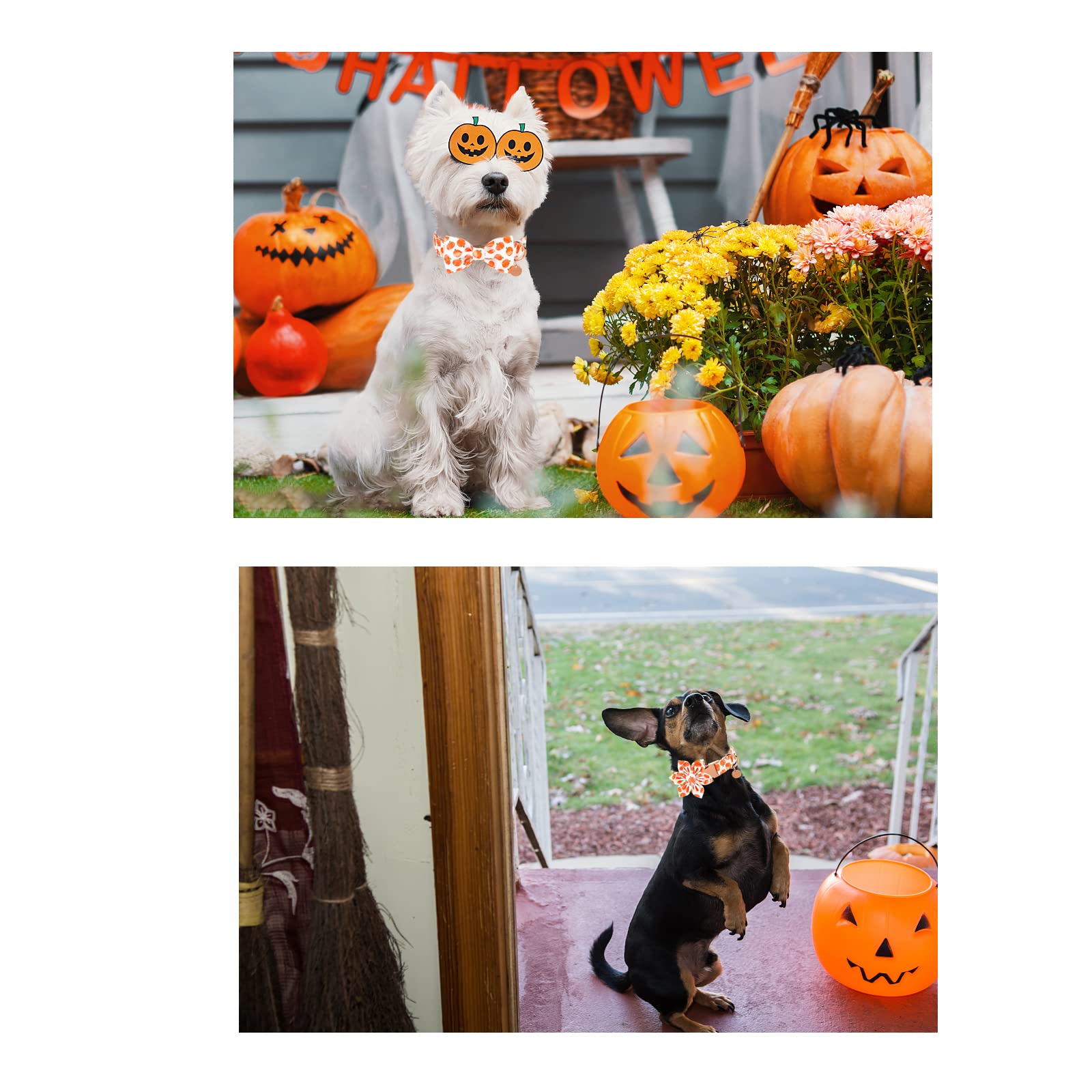 UP URARA PUP Halloween Hundehalsband – Mit Kürbis-Fliege, Rosa, Verstellbar, Größe M