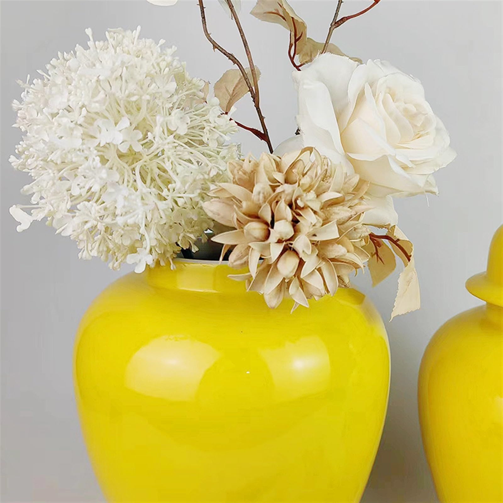 Amazon.com: ZXHFSH Ginger jar vase,Decorative jar, Ginger Jar