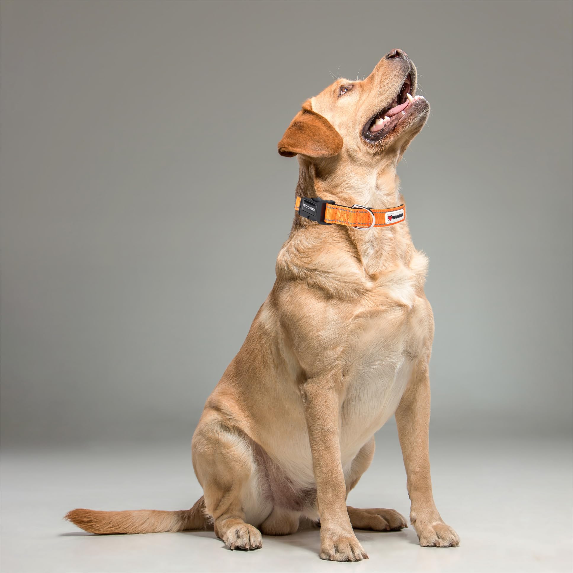 WOOFLIX Reflective Dog Collar For Training And Walks|Adjustable Nylon Training Collar With Tactical Buckle And D-Ring For Medium And Large Dogs|Reflective Dog Collar|(Large, Orange, 13 Cm X 15 Cm) 3