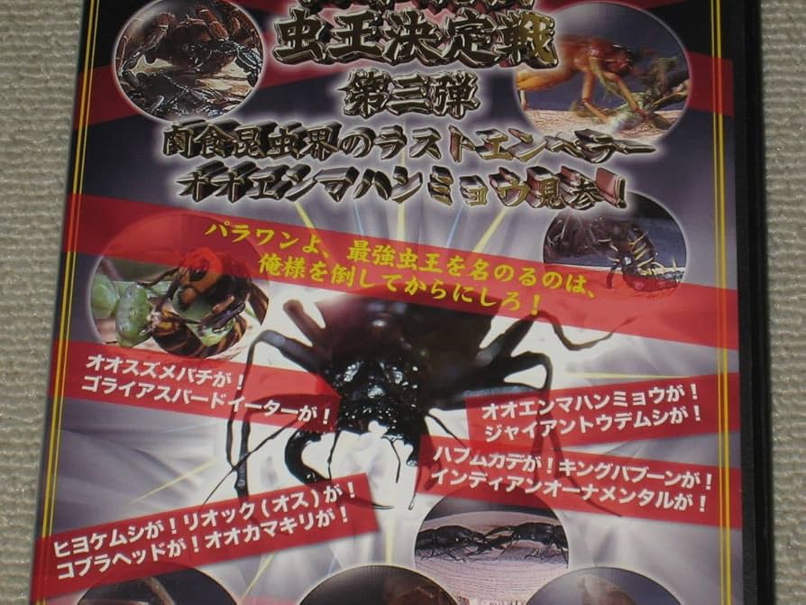 八王子一中・勝利に直結するディフェンスの強化 【全３巻】【DVD】 Amazon.co.jp: 早い者勝ち!SALE!!『すじぼりDVDBOX』 [通常版