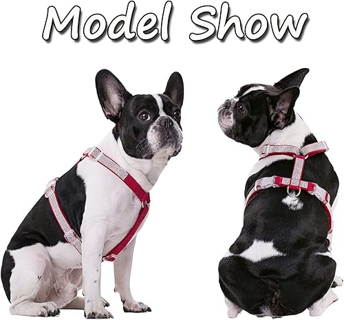 Miniatura 9 de HDKUW Arnés con diamantes de imitación brillantes, arnés con hebilla ajustable sin tirones con anillo en D para perros pequeños y medianos (rosa XS)