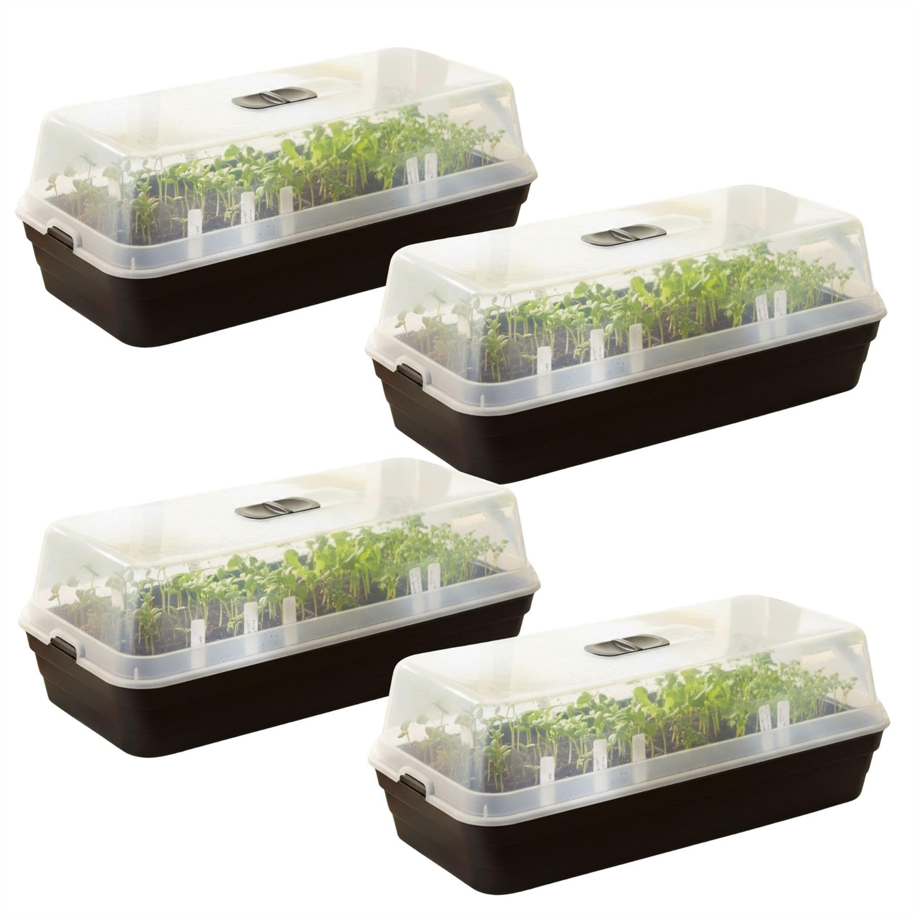 Carousel Home Set of 4 Seed Tray Propagators with Transparent Lid, 50x22cm Seed Starter Trays with Lid Mini Greenhouses for Seedlings, Herbs and Vegetables
