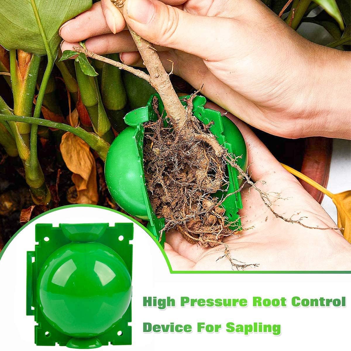 20 Piezas Dispositivos de Enraizamiento de Plantas, Caja de Cultivo de Raíces de Plantas Reutilizables con 20 Bridas de Cable para Injertar y Echar Raíces en Jardines (S+M+L) (Verde)