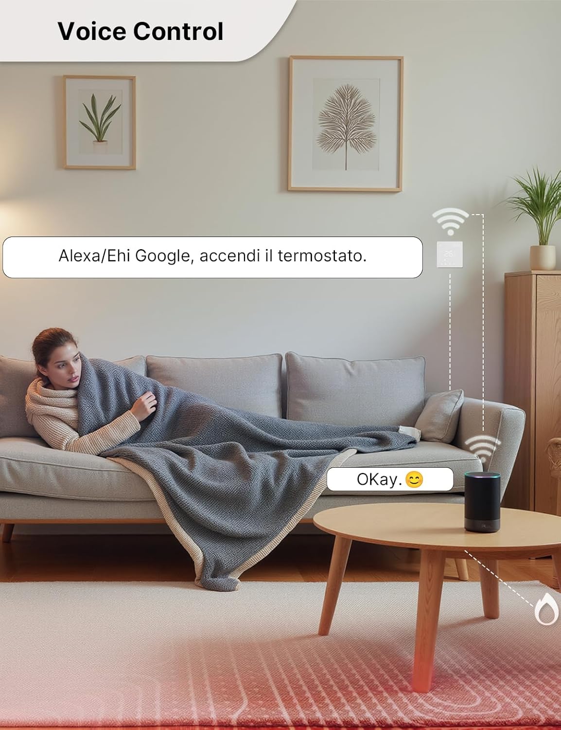 Voice control of MOES thermostat with Alexa or Google Home