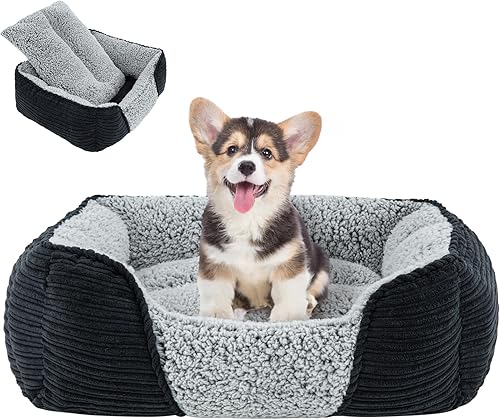 Miguel Cama lavable para perros pequeños, sofá cama rectangular con cojín extraíble para perros pequeños, fácil de lavar, cama rectangular para