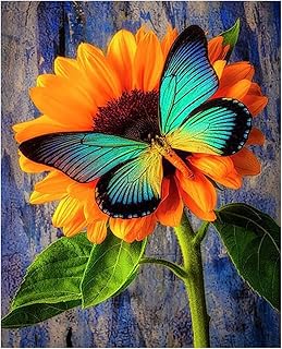 DIY Diamond Painting Kits for Adults, Full Dr...,