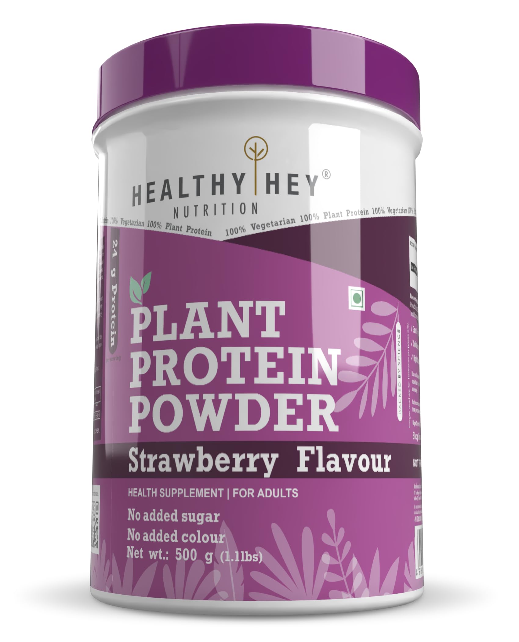Plant Protein Powder, Vegan Protein, Low Net Carbs, Non Dairy, Gluten Free, Lactose Free, No Sugar Added, Soy Free, Non-GMO - 500gm (Strawberry)