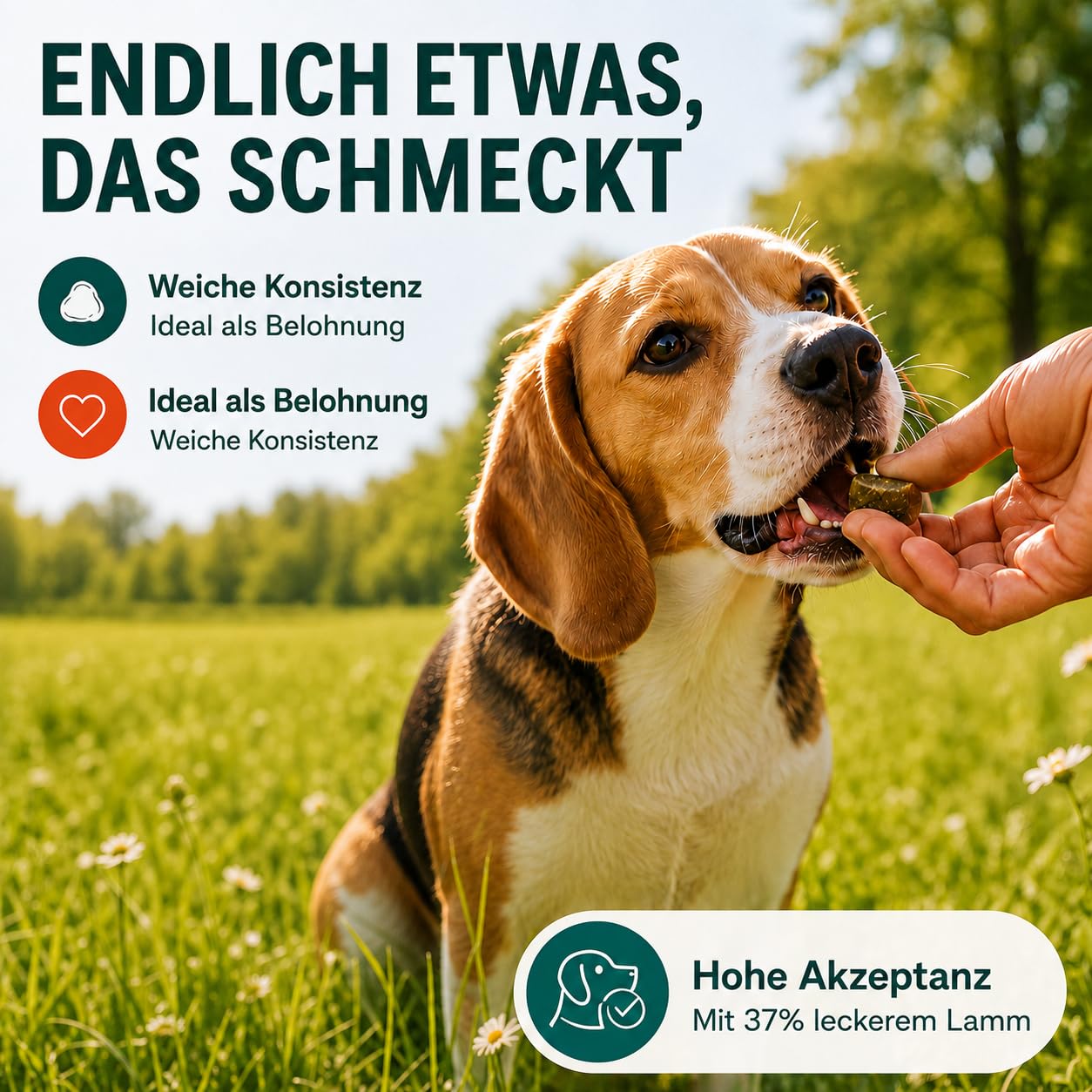 HELLOBELLO Kaltgepresste Magen-Darm Drops für Hunde gegen Sodbrennen 350g Soft mit Bierhefe, 37% Lamm & Meeresalge - Gras und Kotfresser Drops Hund, Gegen Sodbrennen, Magenschutz, Magen