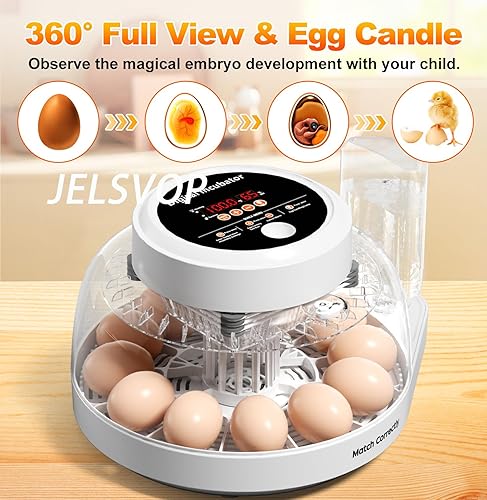 Miniatura 4 de Incubadoras mejoradas para incubar huevos, incubadora de 12 huevos con giro automático de huevos, control de temperatura y pantalla de humedad, vela