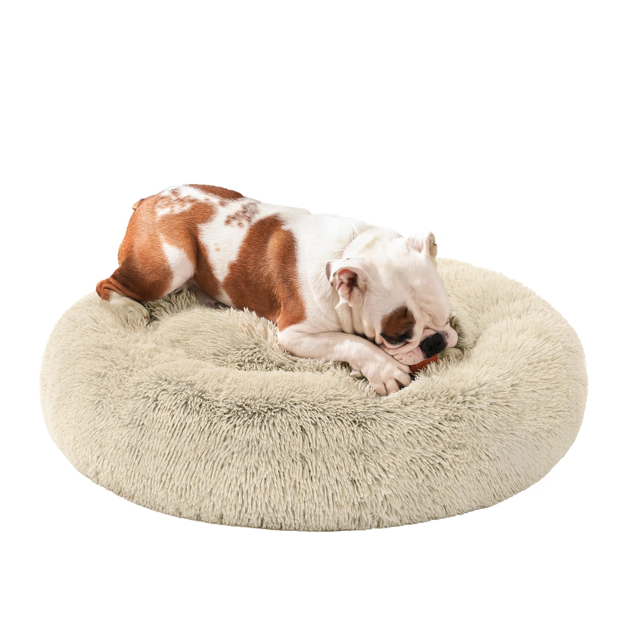 Feandrea Cuccia per Cane, in Peluche Morbida, 80 cm, Cachi PGW040S01