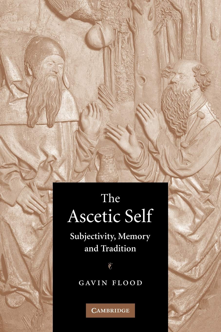 The Ascetic Self by Gavin Flood - 9780521604017