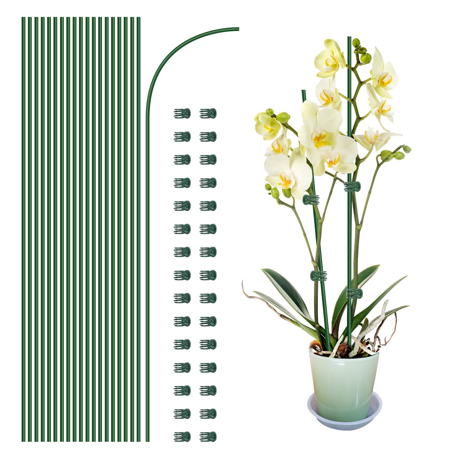 20Pcs Plant Support Stakes with 30 Pcs Plant Clips, Plant Sticks for Indoor and Outdoor Plants, Orchid Clips and Stakes,16inch Tall Bendable Single Stem Flower Stakes Bendable (Green, 45cm)