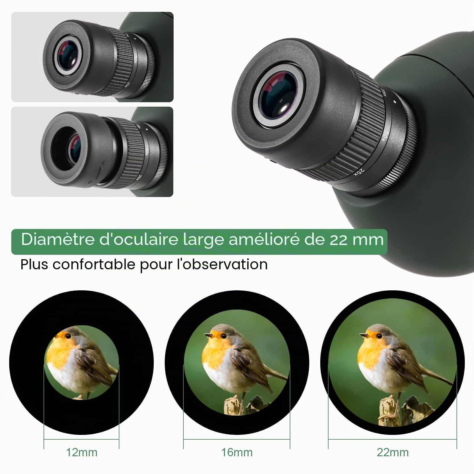 Longue Vues avec Trepied Adaptateur Smartphone,25-75x70mm étanche HD IP67 étanche, Bak4 Objectif FMC Monoculaire pour Tir à la Cible Tir à l'arc Observation des Oiseaux Lune