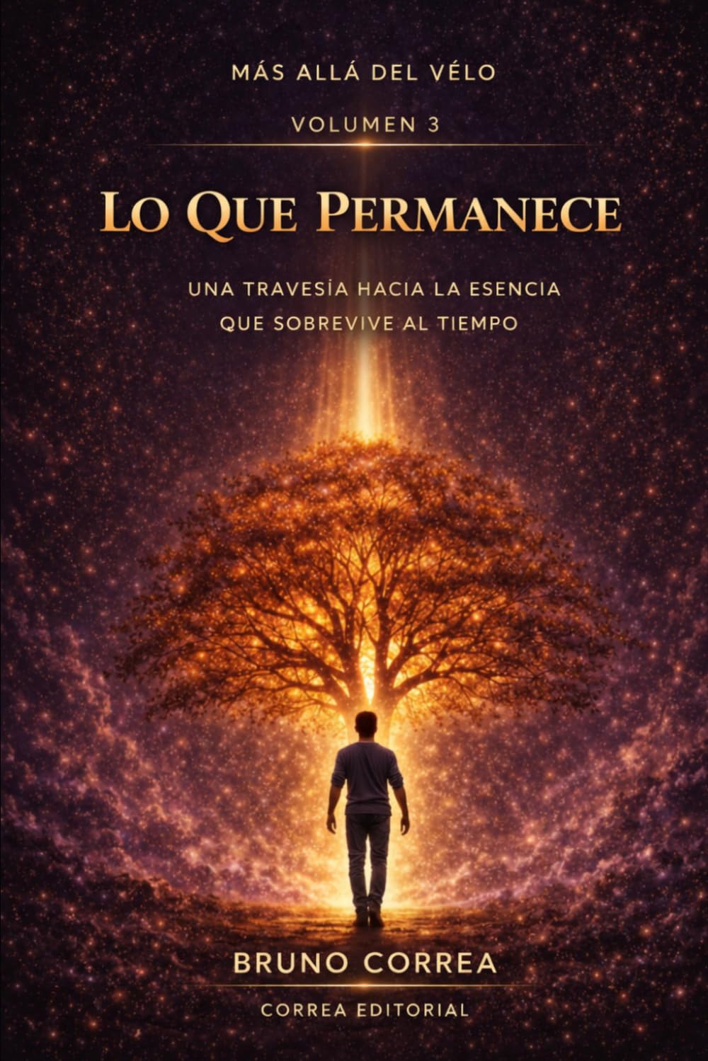 Lo Que Permanece: Una travesía hacia la esencia que sobrevive al tiempo (Más Allá del Velo)