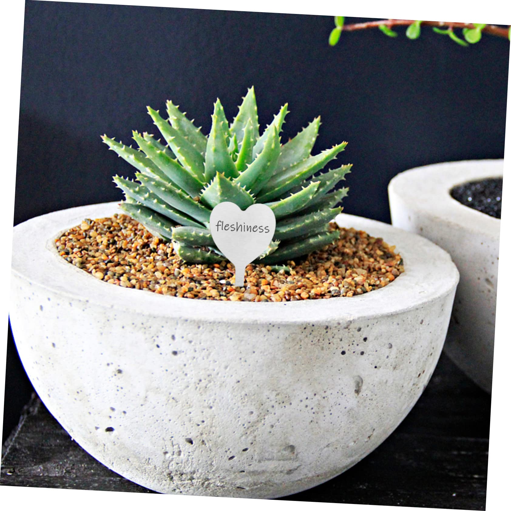 BESTonZON 100pièces Étiquettes De Jardinage Forme De Cœur De Plantes Pour Jardin