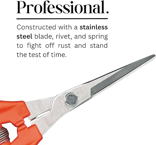 Miniatura 3 de CHIKAMASA TP-530S Tijeras de jardinería profesionales para cosechar verduras, frutas, recortar plantas y excelentes para adelgazar tallos pequeños