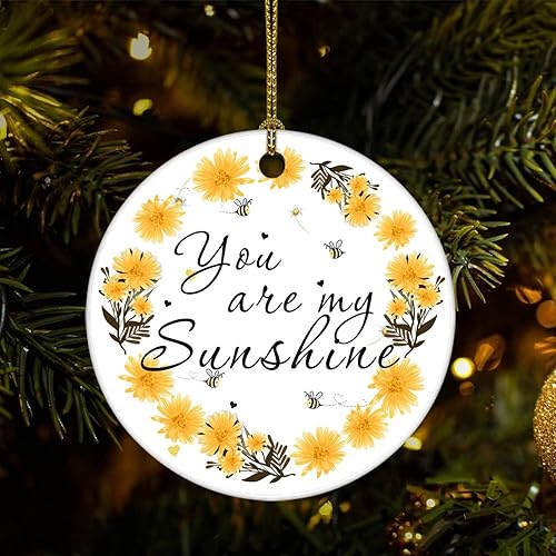 Cheyan Funny You are My Sunshine Christmas Porcelain Ornament Home Decorations Christmas Pendants Artistic Words Christmas Tree Hanging Ornament Cheyan Funny You are My Sunshine Christmas Porcelain Ornament Home Decorations Christmas Pendants Artistic Words Christmas Tree Hanging Ornament