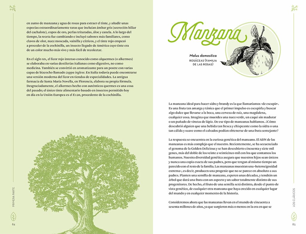 Botánica para cócteles: Las plantas que han dado origen a las mejores bebidas del mundo (Salamandra fun & food)
