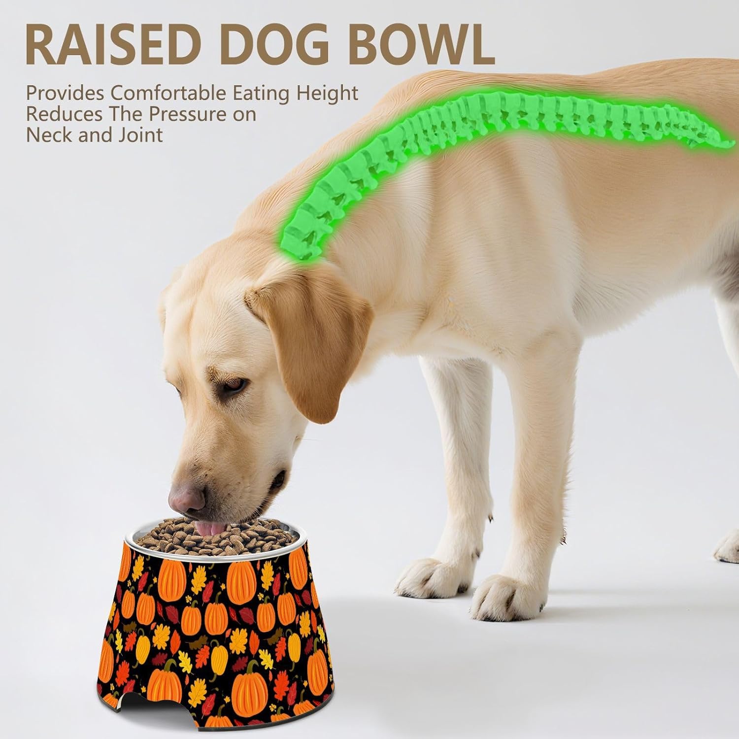 Autumn Fall Pumpkin Maple Leaves Thanksgiving Pet Bowl Elevated Dog Bowls with Stainless Steel, Raised Dog Bowl for Comfortable Feeding and Easy Cleaning, for Pets.23300941