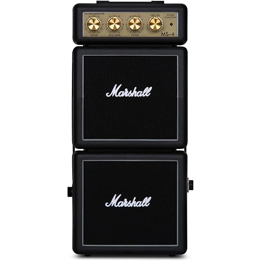 Marshall MS4 Mini Micro Amplifier