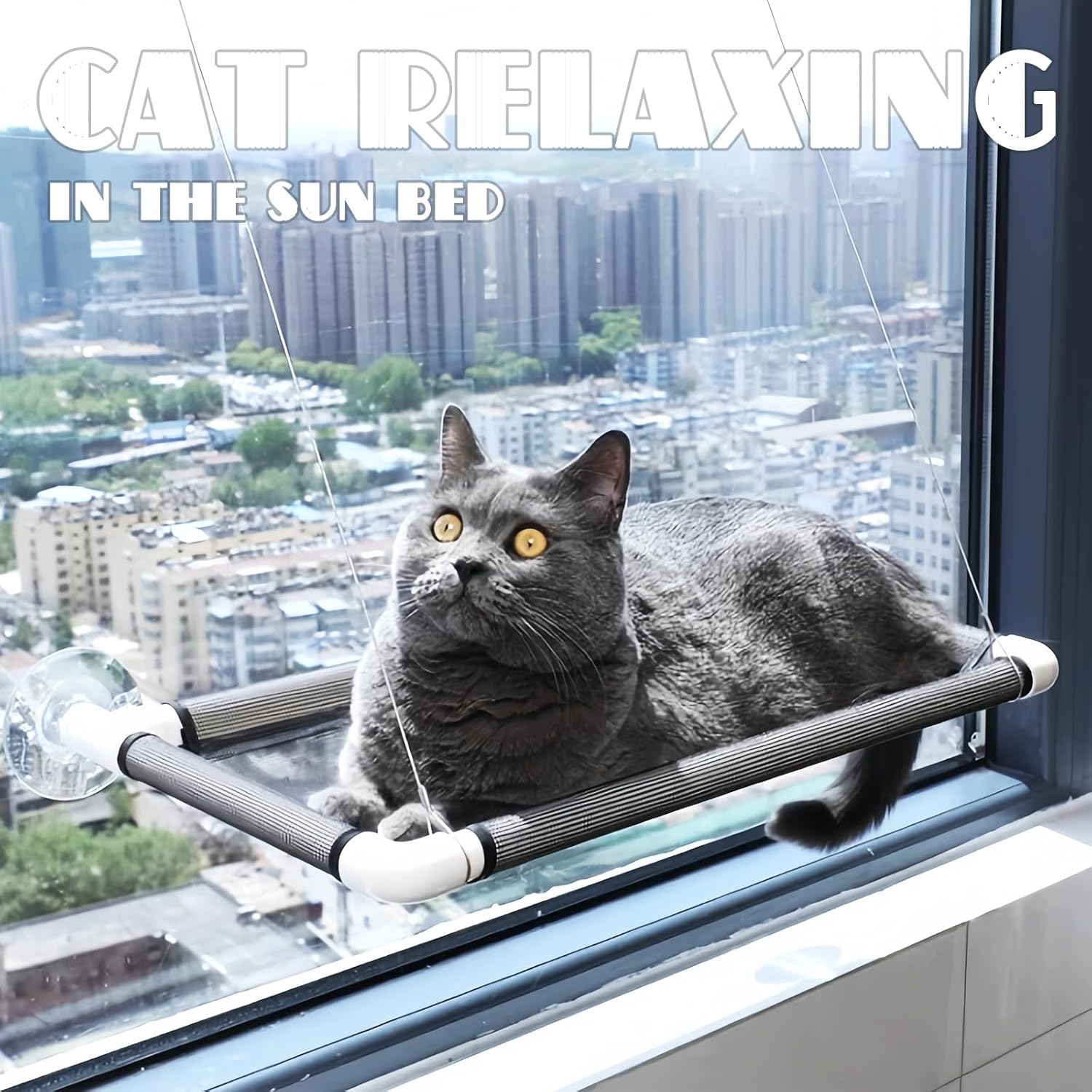 review Cat Window Hammock,2Pack Large Cat Window Hammock with 8 Suction Cups,Space Saving and Easy Mounted Cat Window Hammock,Pet Resting Hammock (Large)