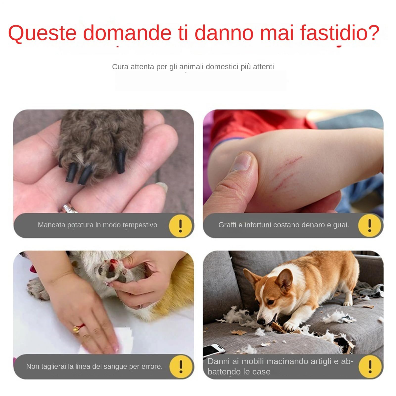 Grattatoio Cani Grattatore Unghie Per Animali Domestici Con 3 Regolazioni | Limaunghe per Cane Per Sollievo Dalla Noia, Protezione Dei Mobili, Casa, Cortile, Viaggio E Addestramento