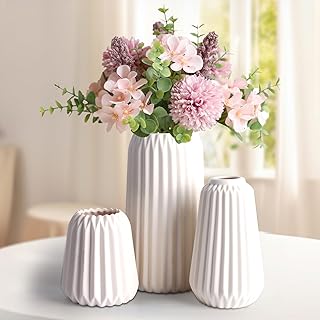 Lot de 3 Vase Decoratif, Vases Fleur Petit Vase Decoration Maison Vase Céramique de Style Nordique, Décoration Salon de Style Minimaliste bohémien Moderne pour Les Fleurs Fraîches et Séchées