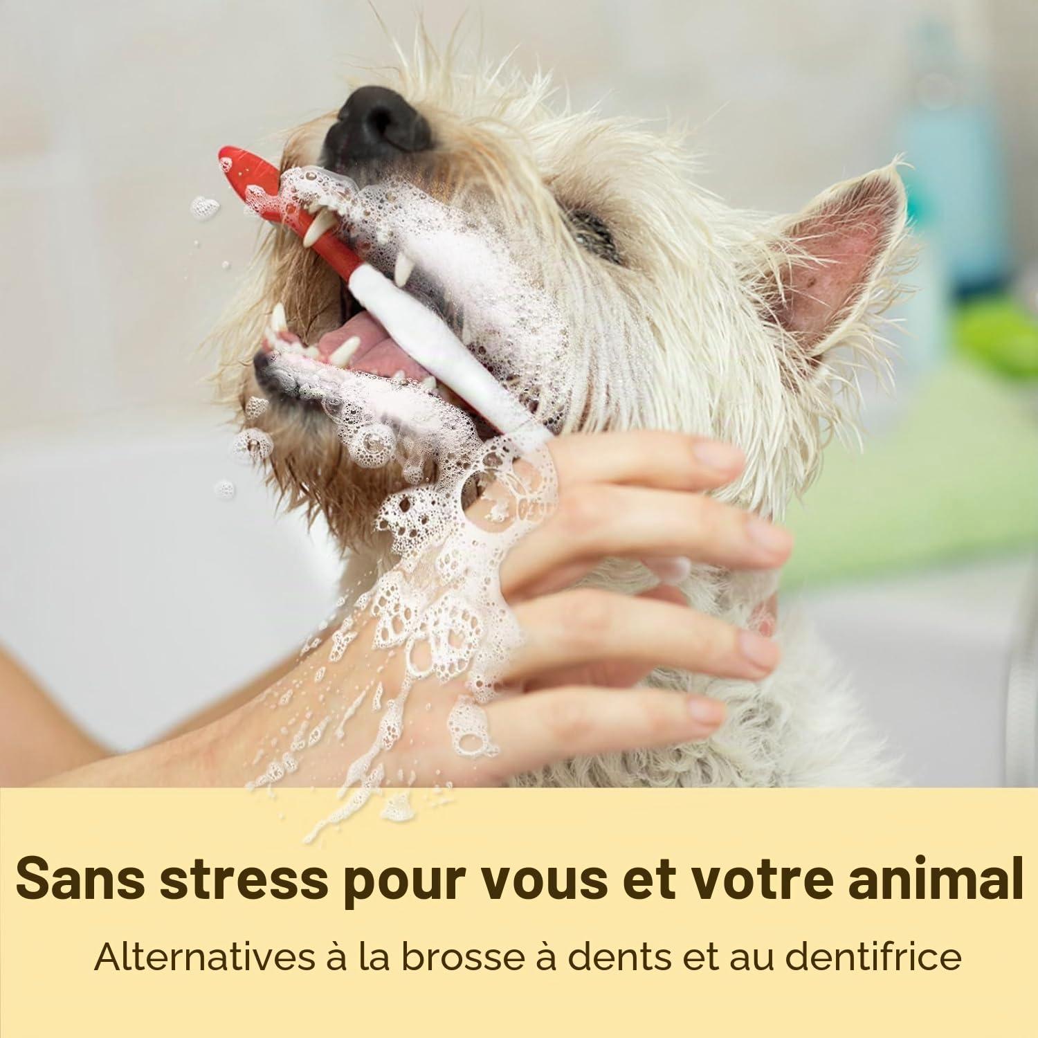 HICC PET Serviettes de nettoyage des dents pour chiens et chats, Enlevez la mauvaise haleine en enlevant la plaque et le tartre accumulé Brosse à dents à doigts de chien sans rinçage (Minte)