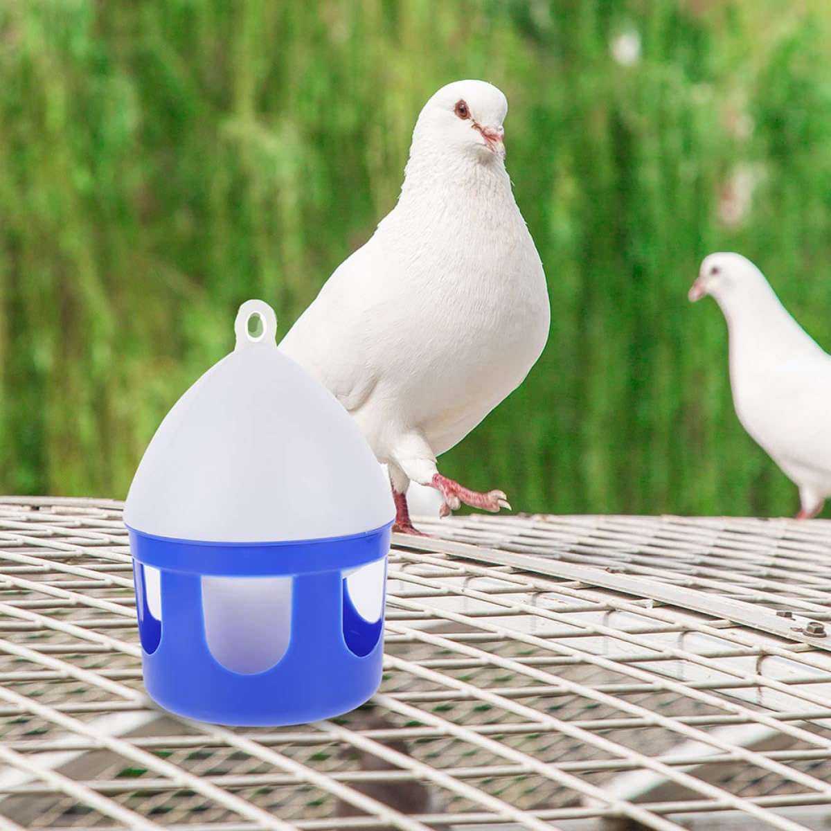 Abreuvoir Accessoire Pratique Lot de 2 Pièces en PVC 2l, Design Compact et Détachable pour pour Oiseaux en Volière ou Élevage