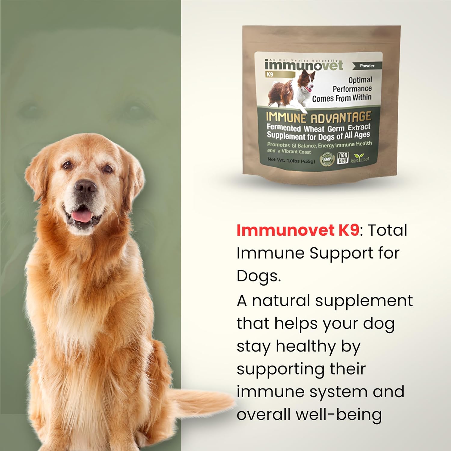 Plant-Based Dog Supplement Powder | Fermented Wheat Germ Extract | Boosts Immunity, Gut Health & Energy | Natural Supplement for Dogs of All Ages | Non-GMO, Vet Trusted, Safe Formula (455g)