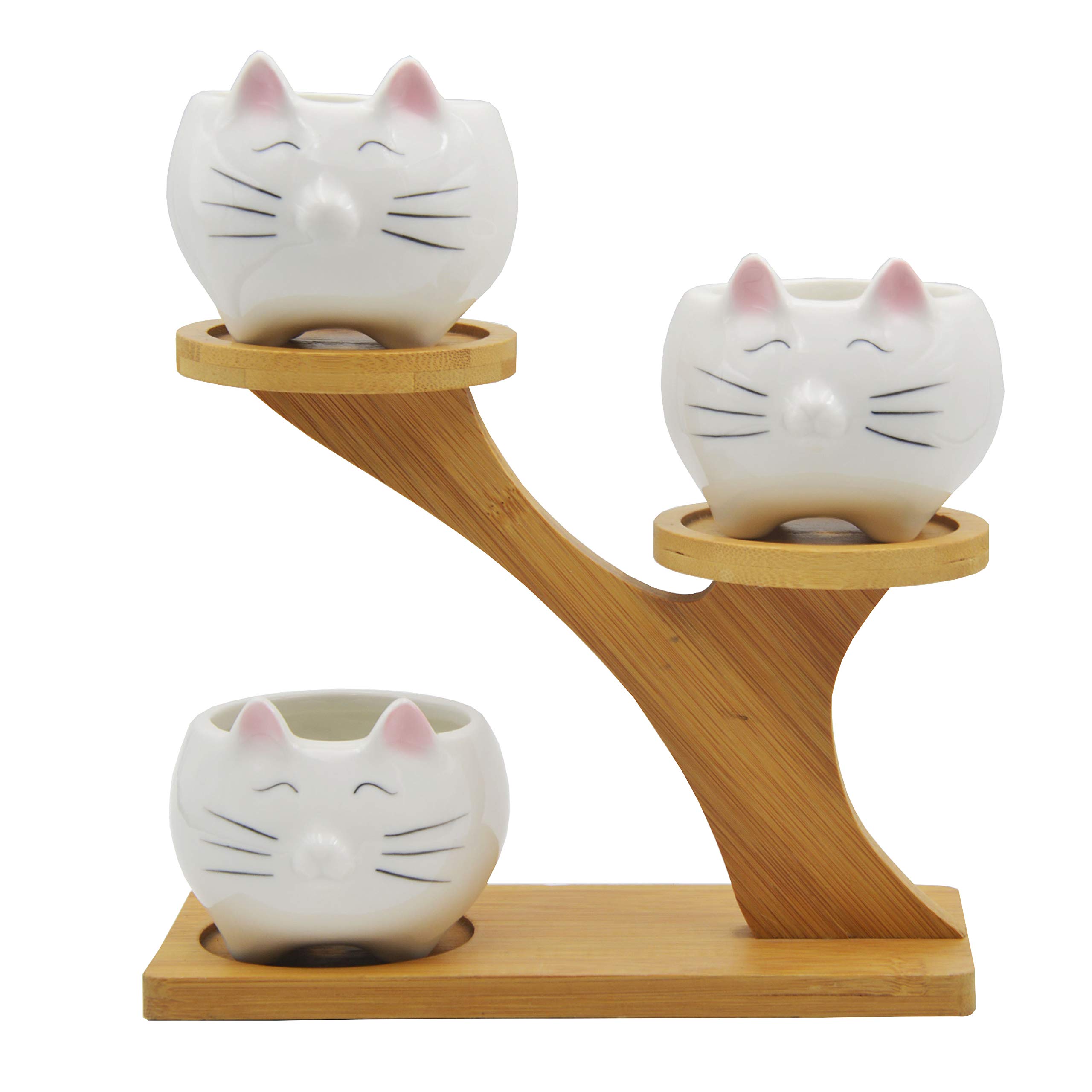 Amazon.co.jp: Cuteforyou 猫型セラミック多肉植物サボテンフラワー