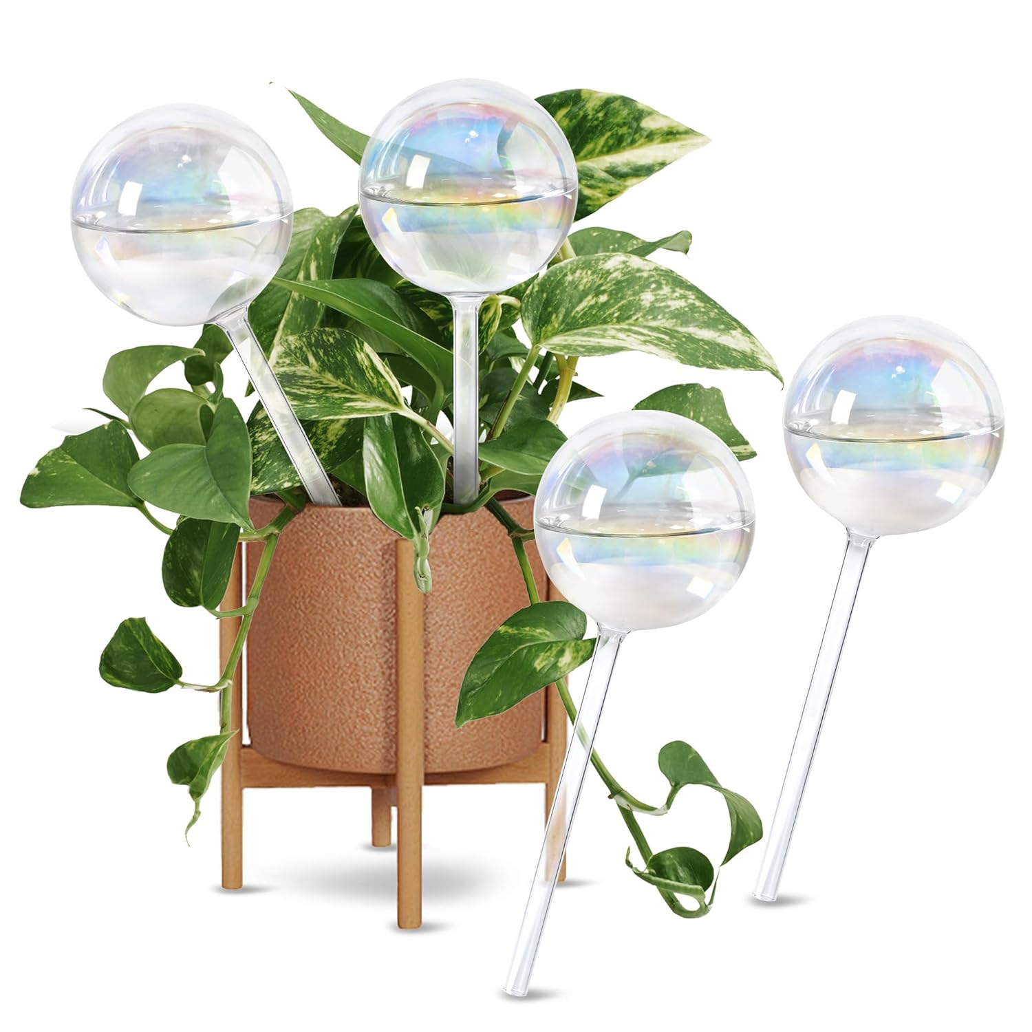 6.5oz Self Watering Globes (4 Pack),Medium Glass Plant Water Bulbs for Indoor Plants, Automatic Drip Irrigation,Light Iridescent Watering Stakes for Vacation & Daily Use (Slow-Release Hydration)