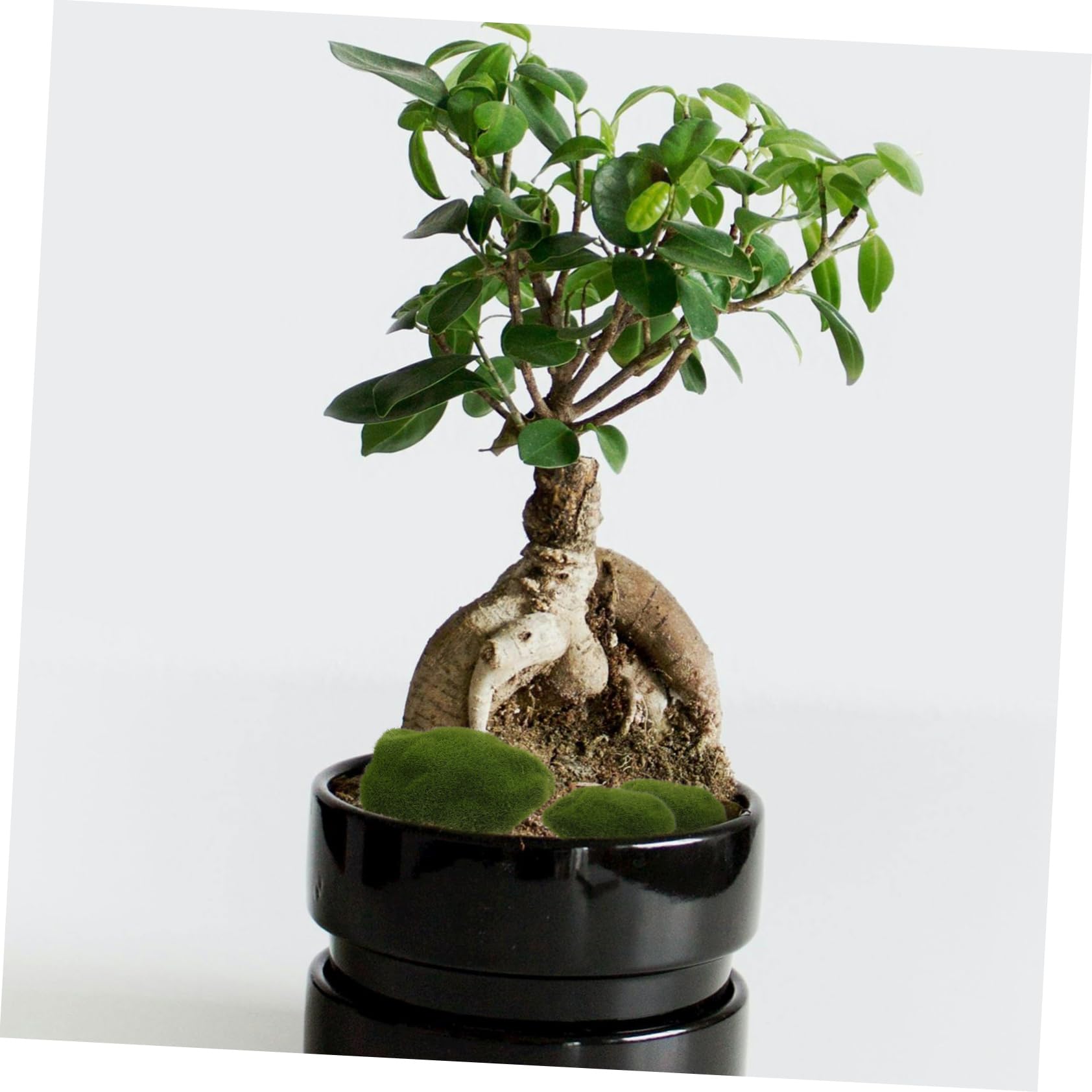 Alipis 48stücke Künstliche Moossteine Dekorative Kunstmoos-Steine Für DIY-projekte Terrarien Und Pflanzenarrangements Realistische Für Hochzeiten Und Innendekoration