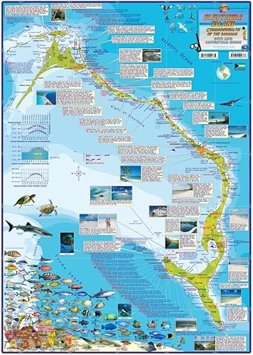 Eleuthera Island Bahamas Adventure Map Laminated Poster
