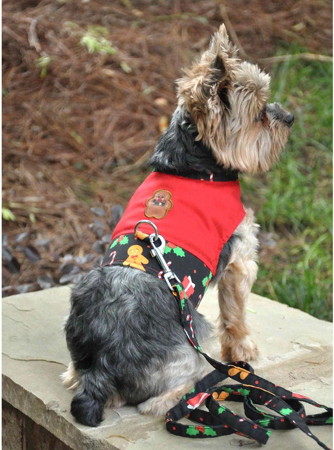 DOGGIE DESIGN Gingerbread Fabric Harness with Matching Leash (Small)