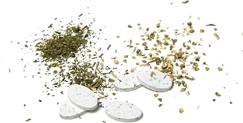 Steriball Diş Fırçası için Vegan Hijyenik Koruyucu Mavi Kap 2li paket