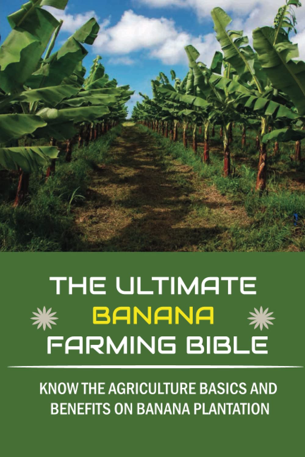 The Ultimate Banana Farming Bible: Know The Agriculture Basics And Benefits On Banana Plantation: Banana Plantation Planting System