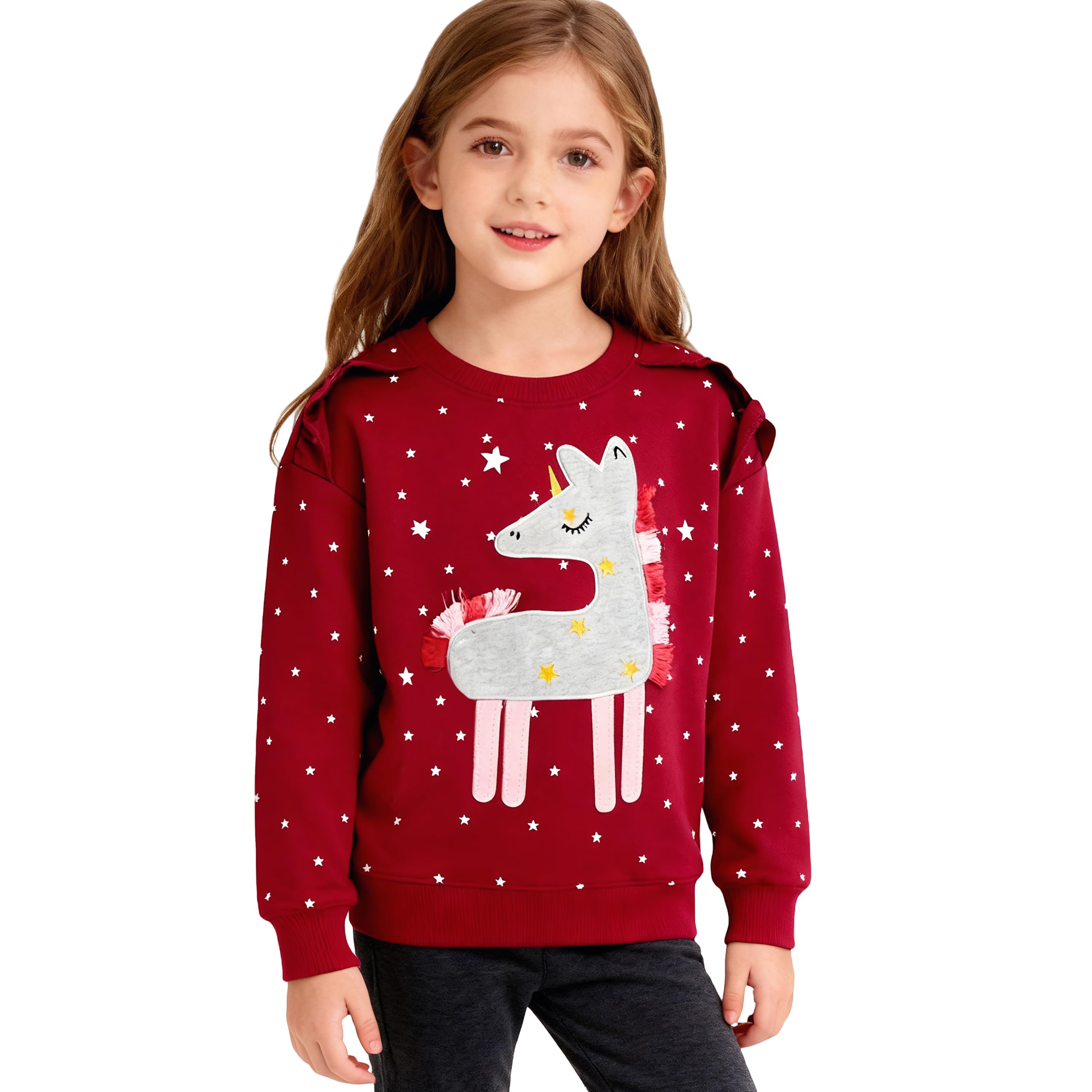 HSTiSan Toddler Girls Cotton Sweatshirt Pullover Sweater Little Kids Long Sleeve Crewneck Tops Tee 2-7T