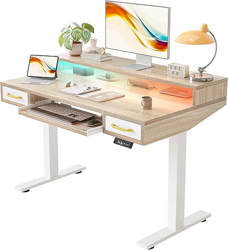 TIQLAB Standing Desk with Two Drawers, Stand Up Standing Desk