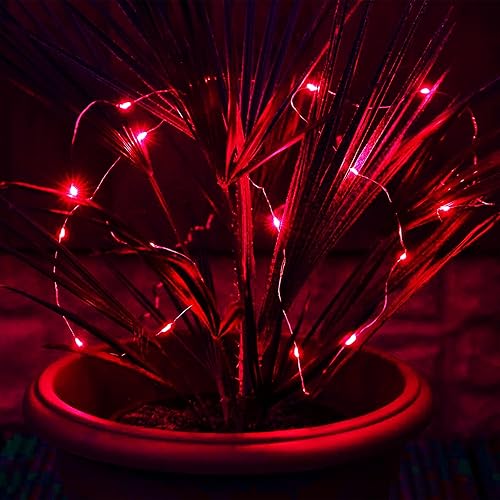 Miniatura 3 de kemooie Paquete de 2 luces solares de hadas, 100 LED de 33 pies, 8 modos de parpadeo, luces solares rojas para el día de San Valentín, impermeables