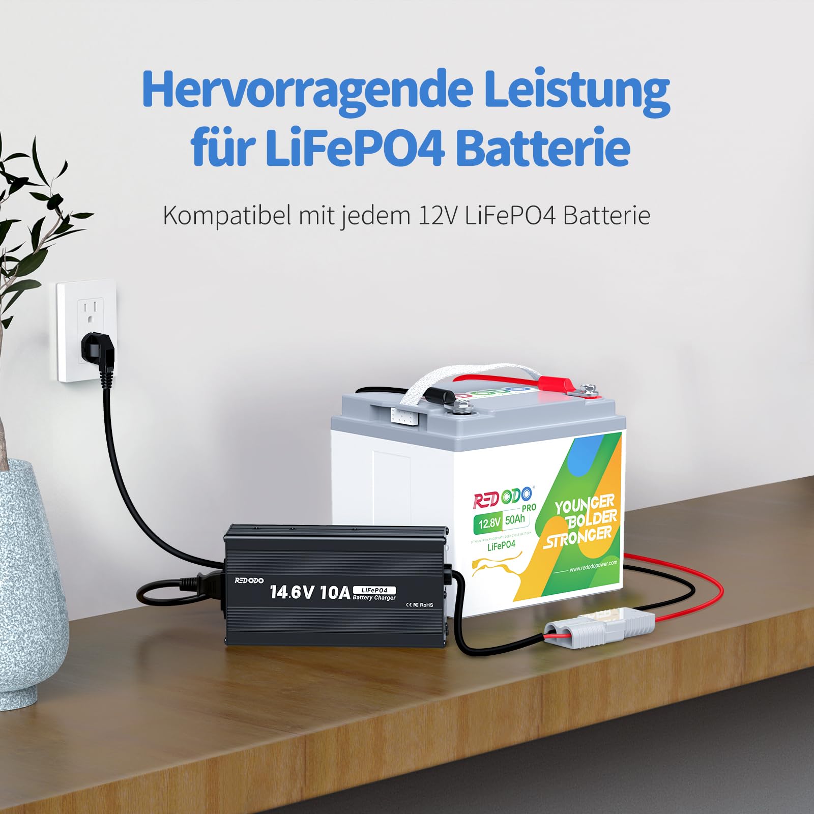 Redodo 14,6V 10A Lifepo4 Cargador de Batería para Baterías Litio Hierro Fosfato, Carga Rápida, Alta Eficiencia de Carga, Diseñado para Cargar Baterías LiFePO4 en Ciclo Profundo