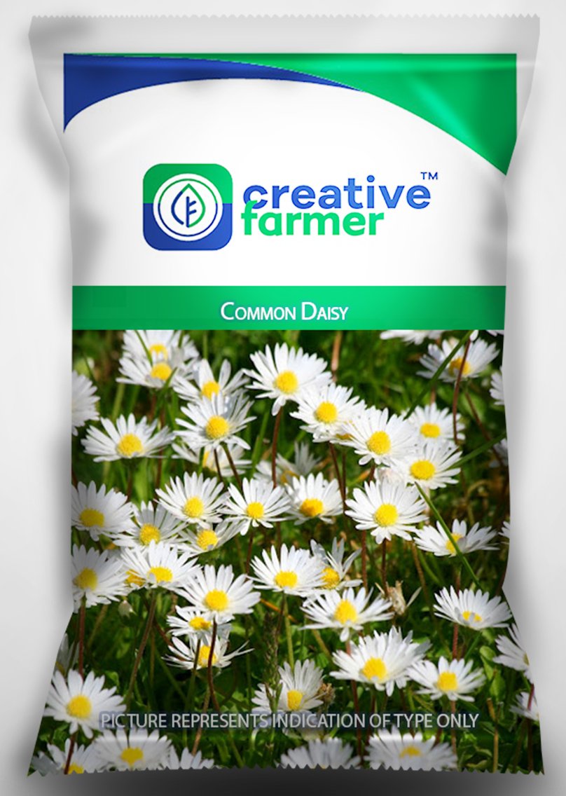 Creative Farmer Common Daisy Seeds For Home Garden-50 Seeds (B01LWPFD0M) Amazon Price History, Amazon Price Tracker