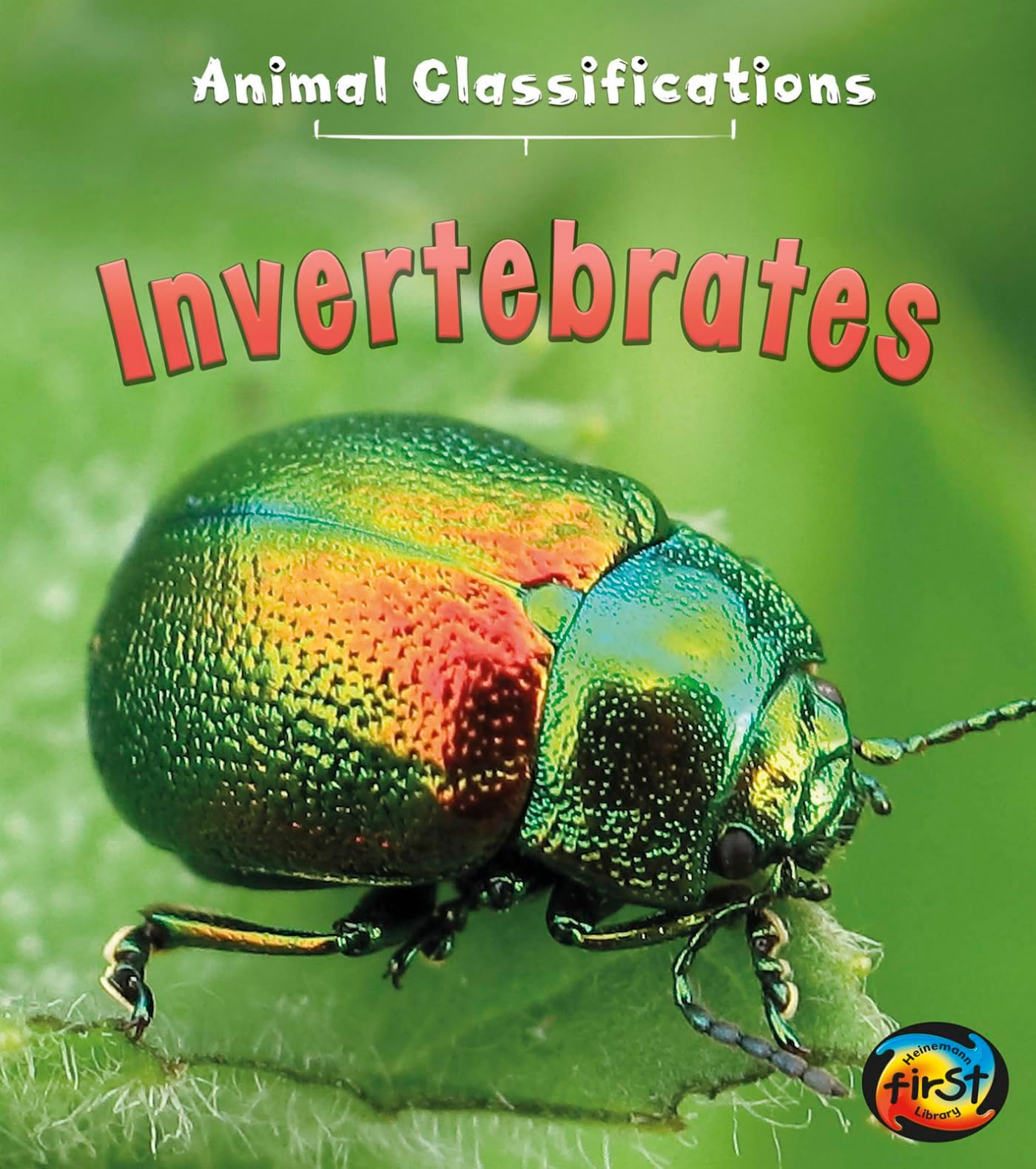 Invertebrates (Animal Classification)