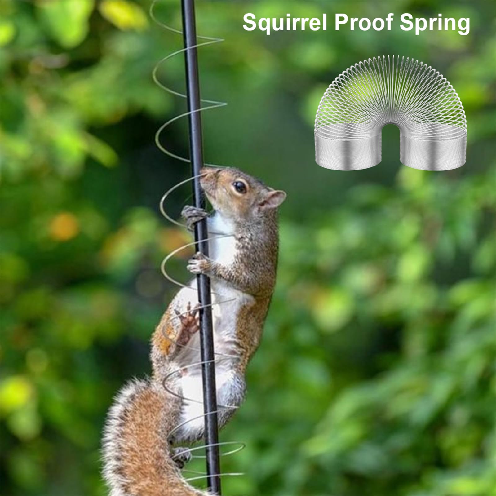 White Squirrel Baffle Etal Spring, Squirrel Baffles For Bird Feeders