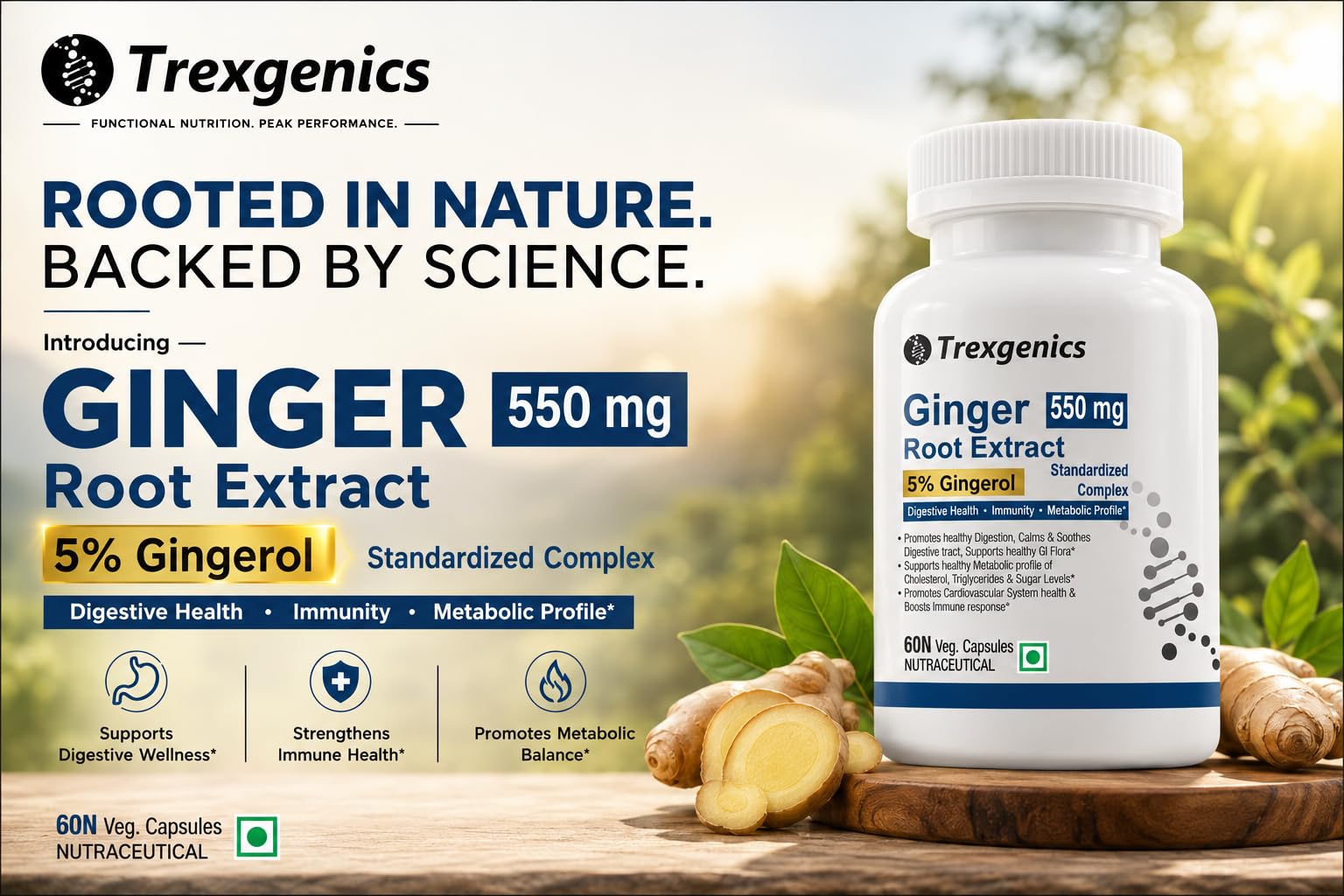 Trexgenics GINGER (Bioactive 5% Gingerol) 550 mg Standardized for Digestive Health, Immunity, Metabolic Profile, Immunity Support (60 Vcaps) (1) 1