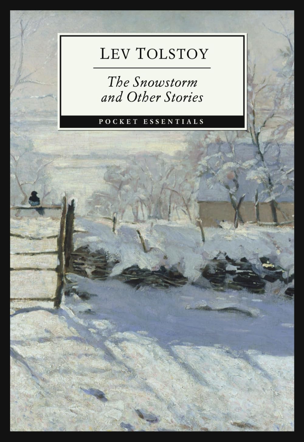 The Snowstorm and Other Stories