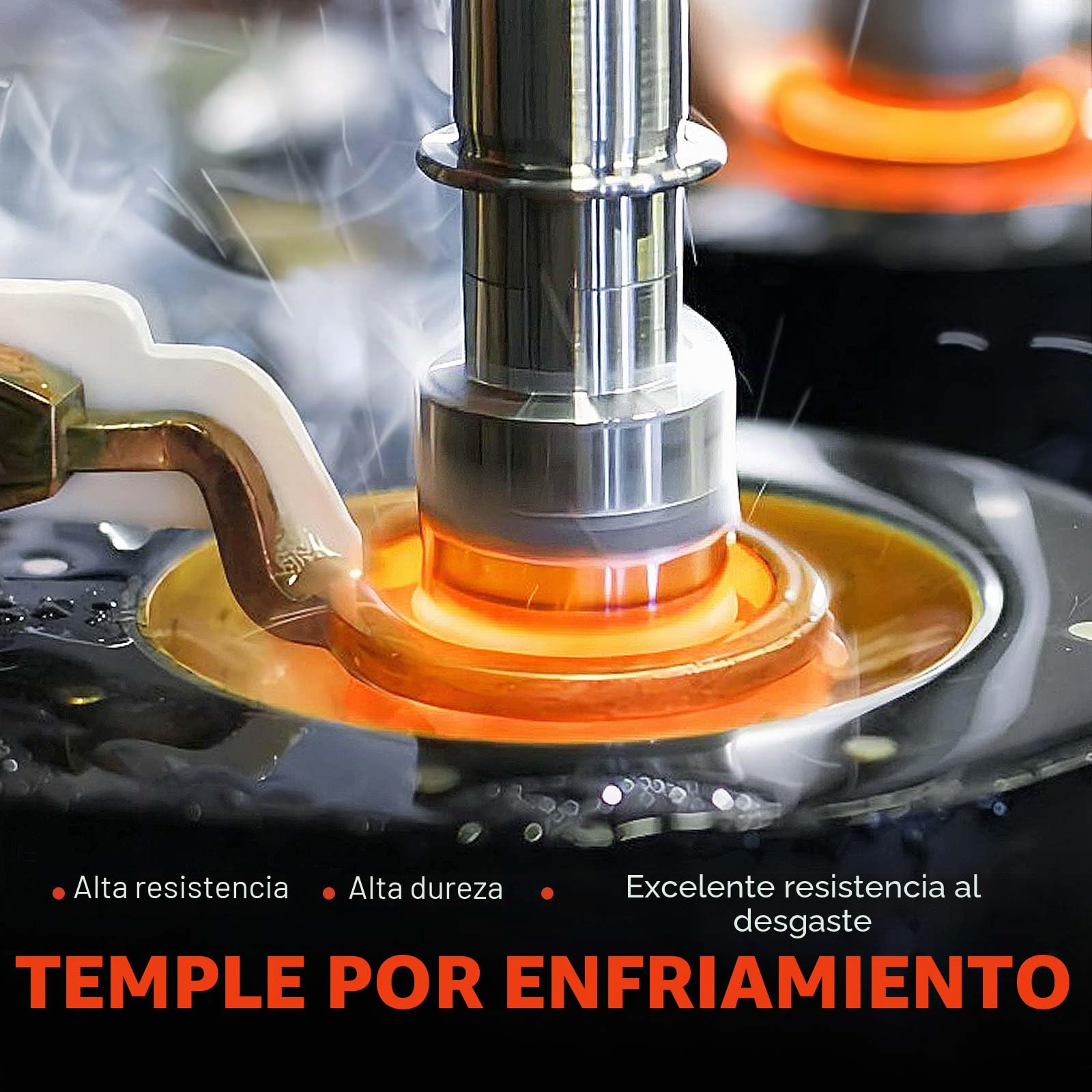Frankberg 2 rodamientos de rueda traseros juego de rodamientos con sensor | 1769848, trasero Con sensor de carcasa Sensor de Velocidad de las Ruedas Sensor ABS Rueda con brida ⌀136