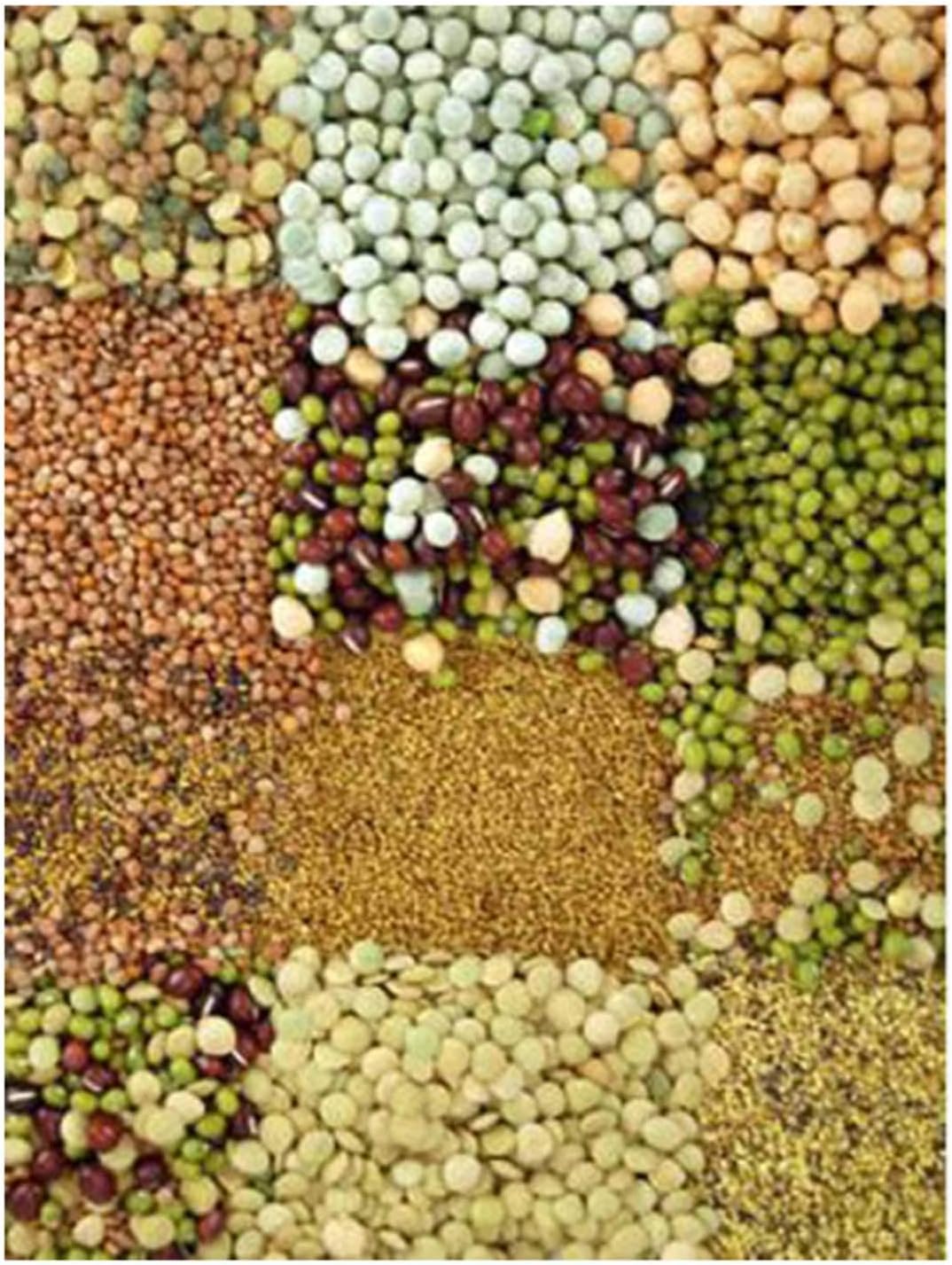 Handy Pantry Organic Sprouting Seed Assortments - Microgreens, Sprout Seeds Variety Pack (12 Pack - Beginners Dozen)