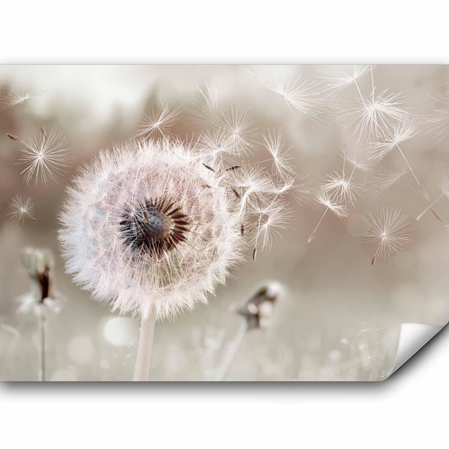 murando - Fototapete Vlies Pusteblumen, 400x280 cm, Schlafzimmer, 3D-Effekt | Full HD Druck, 3D-Effekt, lichtbeständige Farben, ideal fürs Wohn- oder Schlafzimmer, schnelle Montage, lichtbeständig, edel