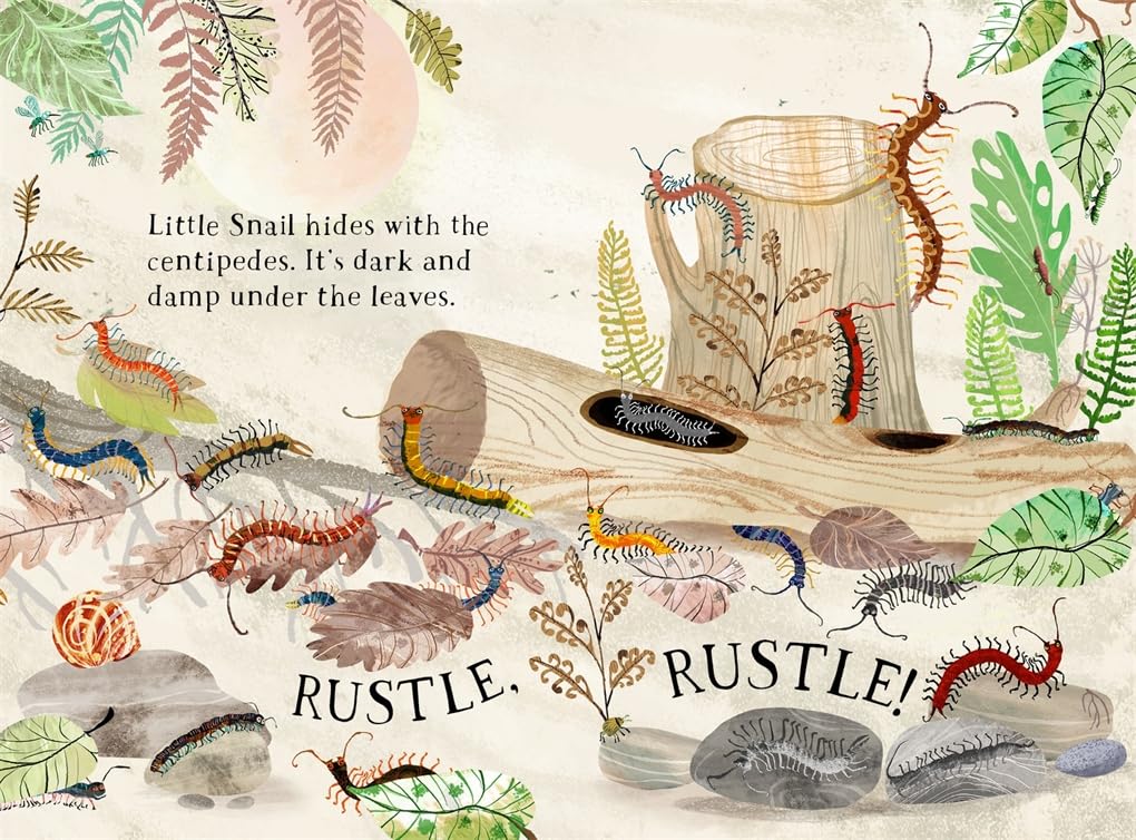 Little Snail's Book of Bugs /anglais